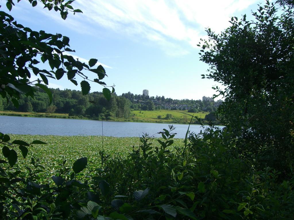 Burris Guest House Burnaby Esterno foto