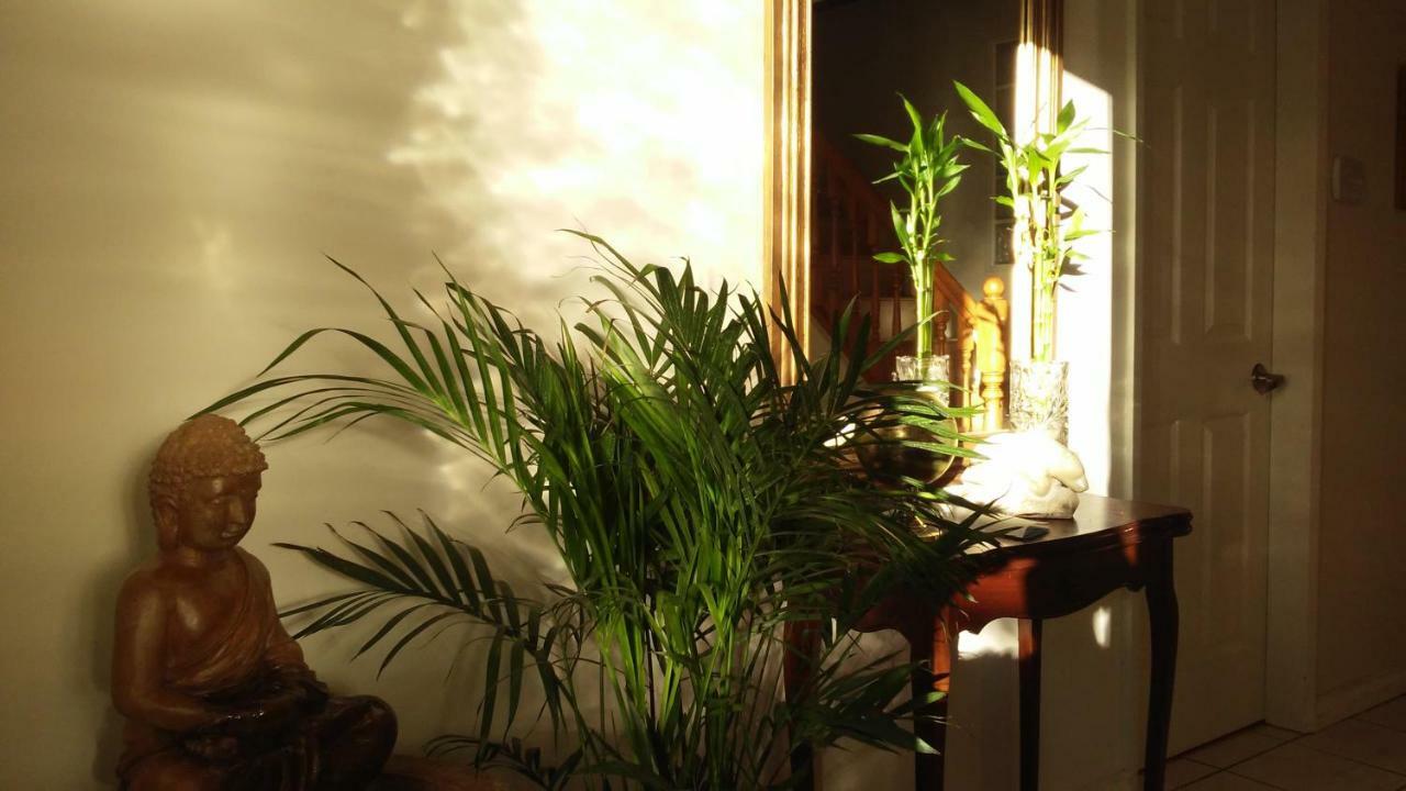 Burris Guest House Burnaby Esterno foto